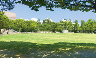 中央公園